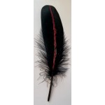 Feather Smudge Black